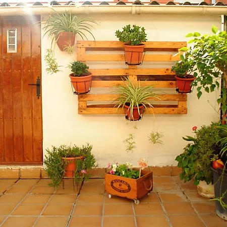Homestay Con Patio En Piso Compartido Capellades
